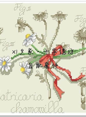 欧美风杂志 法国正品DMC十字绣自配套件 DFEA阴影花-白色雏菊