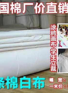 纯棉白布的确良布料防尘布画布白棉布布料装修布料孝布贴墙布白布