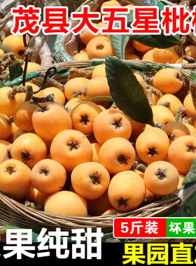 四川茂县大五星枇杷新鲜纯甜水果