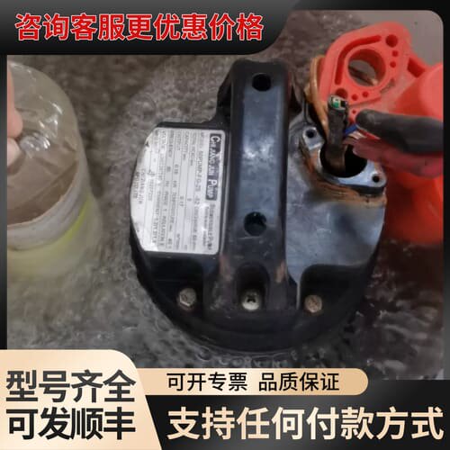 议价潜水泵一个50PUMP-FG-2S-52可维修