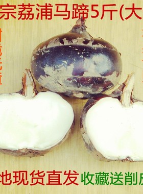 9年老店特大荔浦马蹄新鲜即食水果蔬菜甜脆荸荠广西桂林有机特产