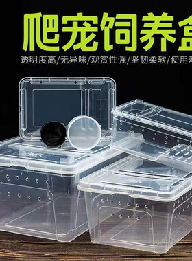 爬虫饲养盒爬宠箱蚕宝宝蜘蛛角蛙守宫盒蜥蜴宠物用品蛇昆虫乌龟缸