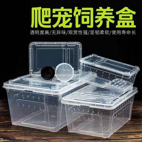爬虫饲养盒爬宠箱守宫盒