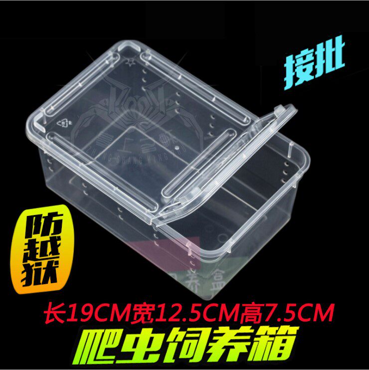 爬虫饲养盒透明塑料缸蜘蛛守宫寄居蟹蚕宝宝蝎子角蛙昆虫人渣盒A4
