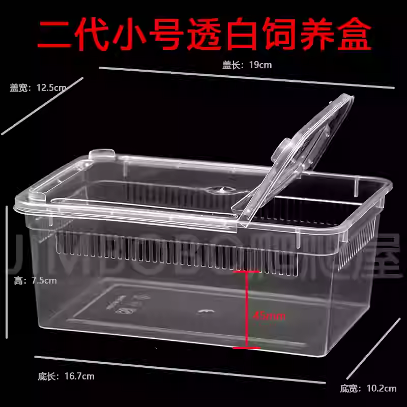 爬宠守宫蜥蜴蜘蛛蜗牛饲养昆虫