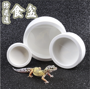 爬虫防逃逸食盆防逃脱爬宠蜥蜴守宫鬃狮爬宠面包虫大麦虫无菌陶瓷