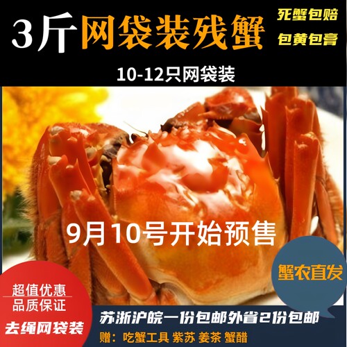 水产鲜活断脚大闸蟹10现货包邮