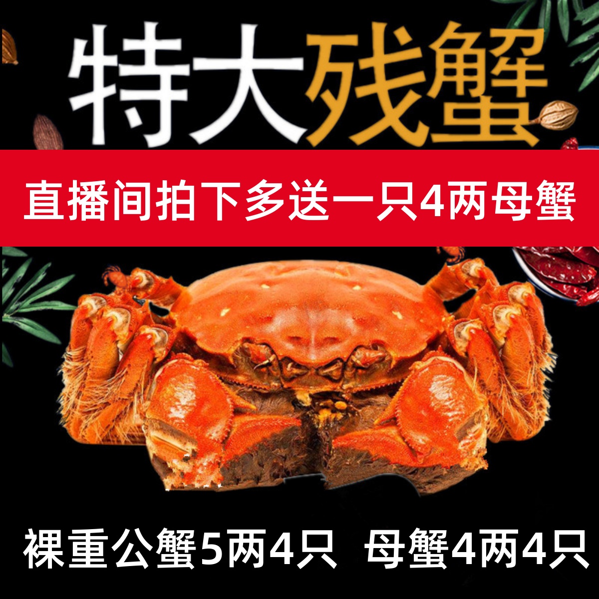 残蟹5两公4两母蟹断脚蟹鲜活螃蟹