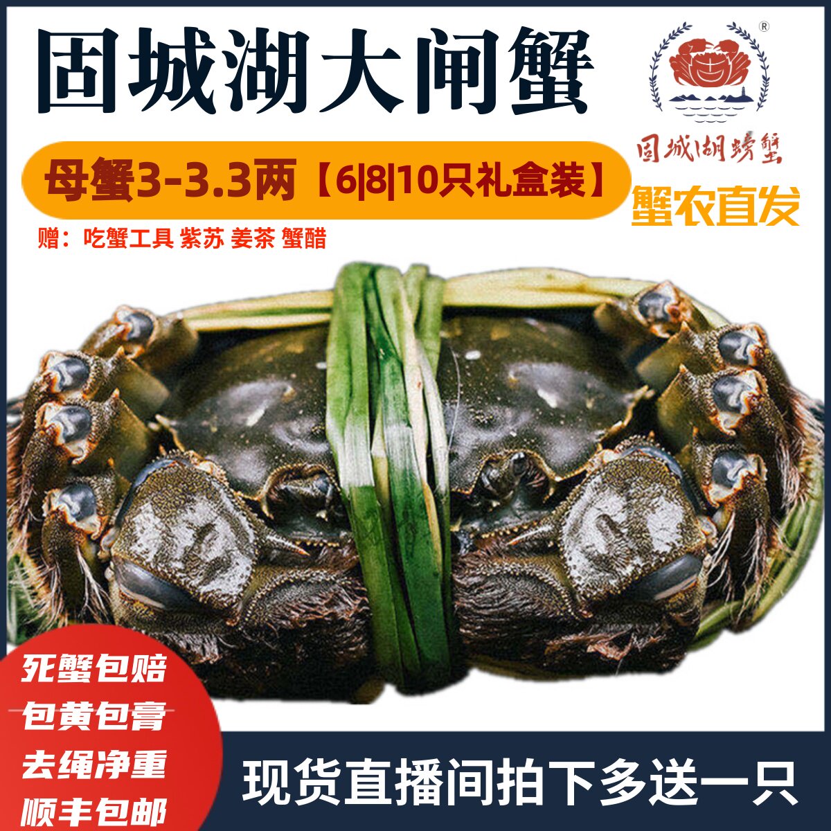 全母3两现货固城湖大闸蟹活蟹图片