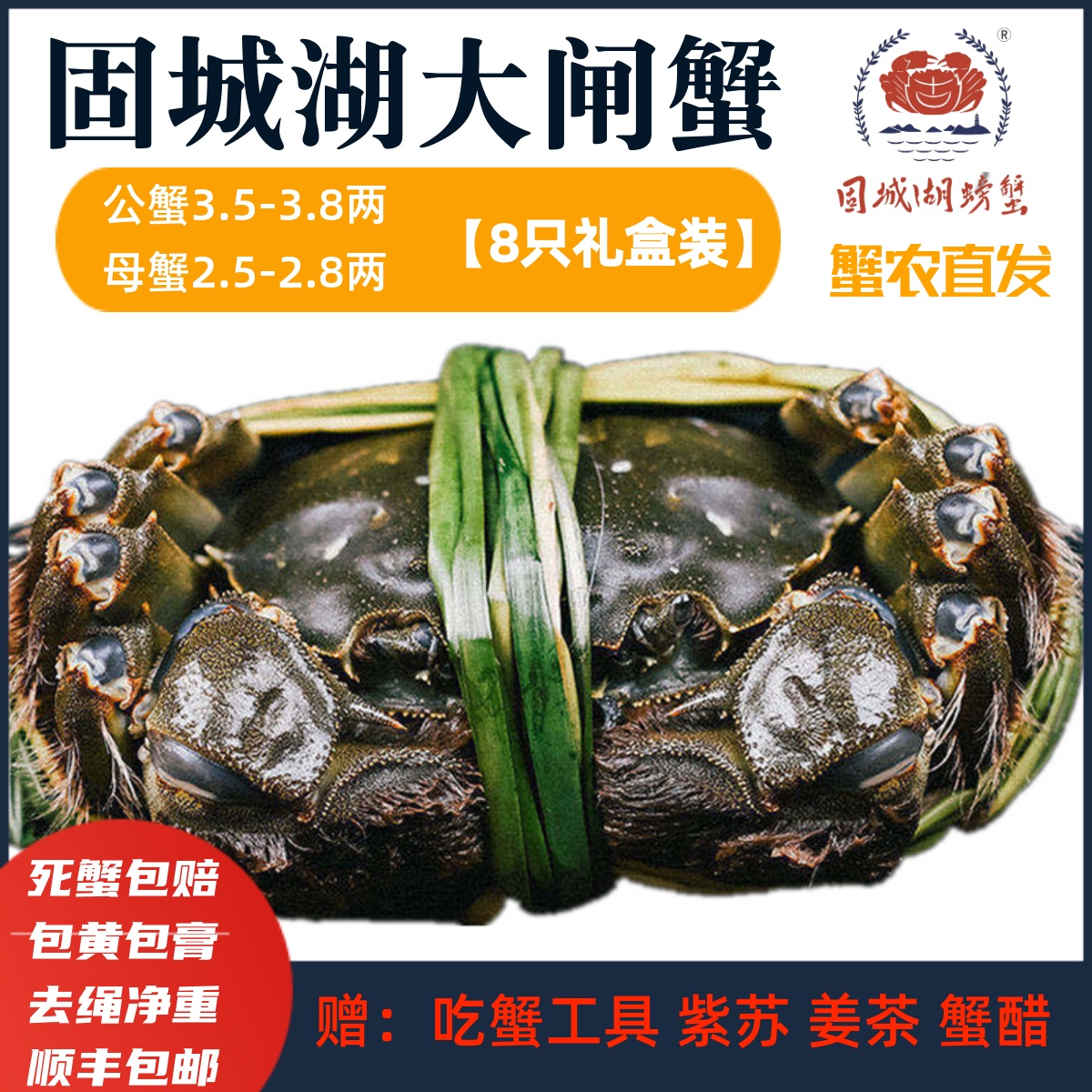 活蟹净重母蟹2.5-2.8两公蟹3.5-3.8两固城湖大闸蟹鲜活螃蟹8只装