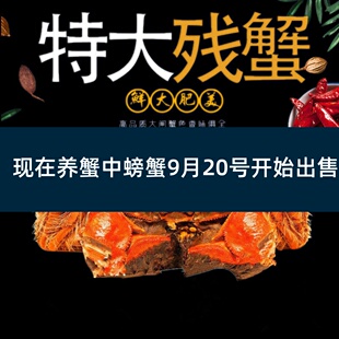 活蟹残蟹裸重公蟹3.5-3.8两母蟹3-3.3两鲜活残蟹缺腿蟹断脚蟹6只