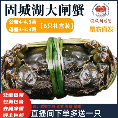 全母3两现货固城湖大闸蟹活蟹