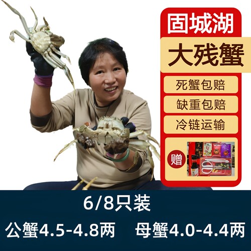活蟹裸重4.5-4.8两公蟹4-4.3两母蟹6/8只鲜活残蟹缺腿断脚蟹水产