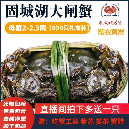 固城湖大闸蟹母螃蟹10只装现货