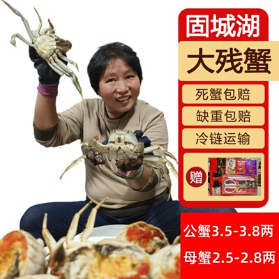现货断脚蟹高淳固城湖鲜活