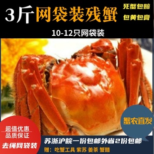12只装 活蟹残蟹 水产鲜活断脚大闸蟹残蟹断脚蟹大只残次蟹3斤10