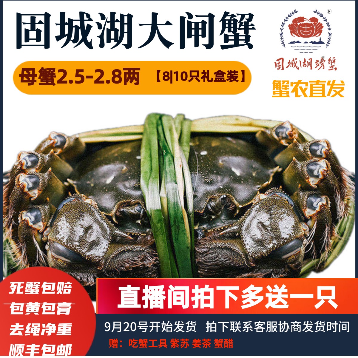 活蟹精品】固城湖大闸蟹净重公蟹3.5-3.8两母2.5-2.8两8|10只礼盒