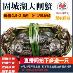 活蟹精品】固城湖大闸蟹净重公蟹3.5-3.8两母2.5-2.8两8|10只礼盒