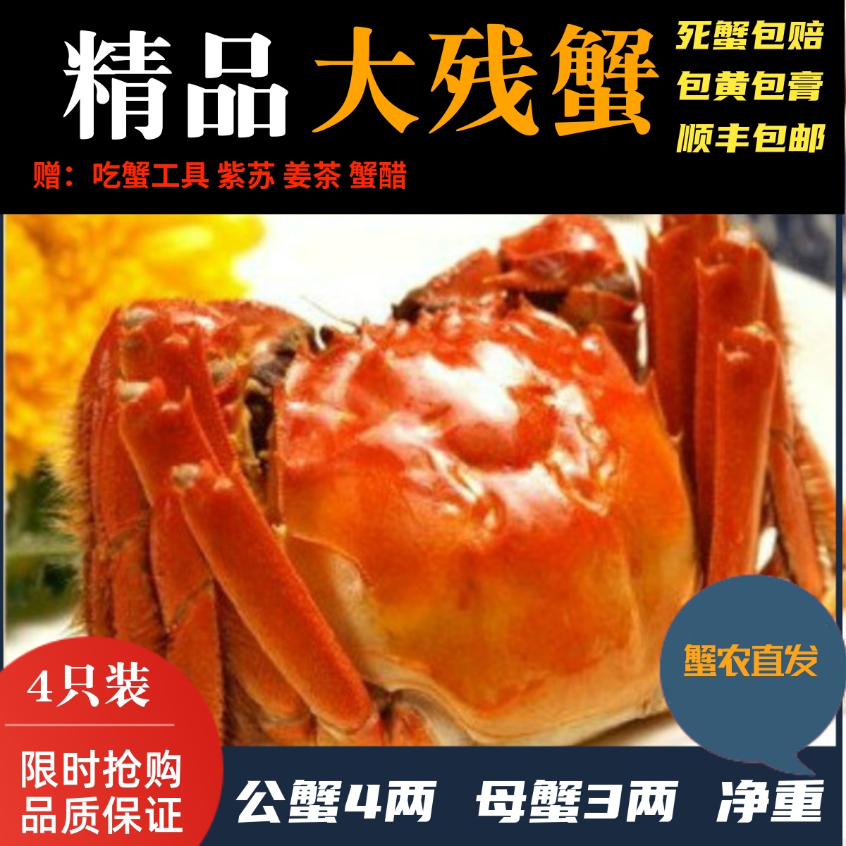 自家养殖固城湖大闸蟹促销4-3两