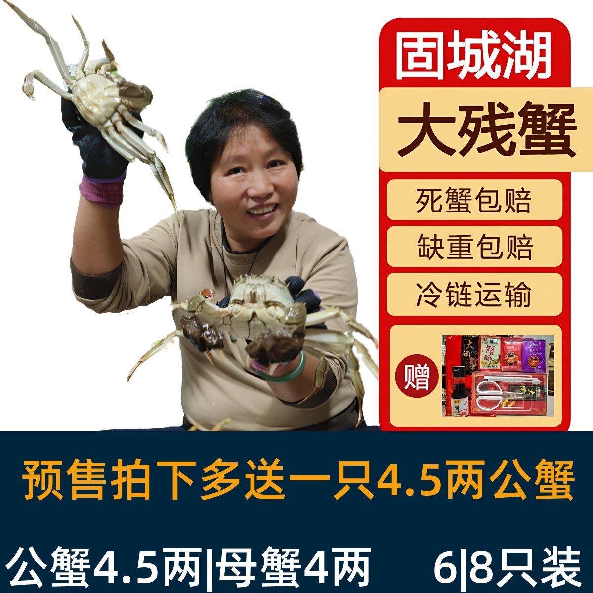 活蟹裸重4.5-4.8两公蟹4-4.3两母蟹6/8只鲜活残蟹缺腿断脚蟹水产