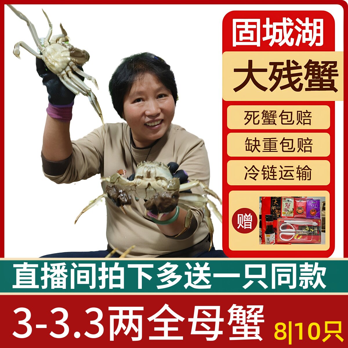 活蟹残蟹】固城湖螃蟹大闸蟹残蟹缺腿蟹3-3.3两母大残蟹8|10只装