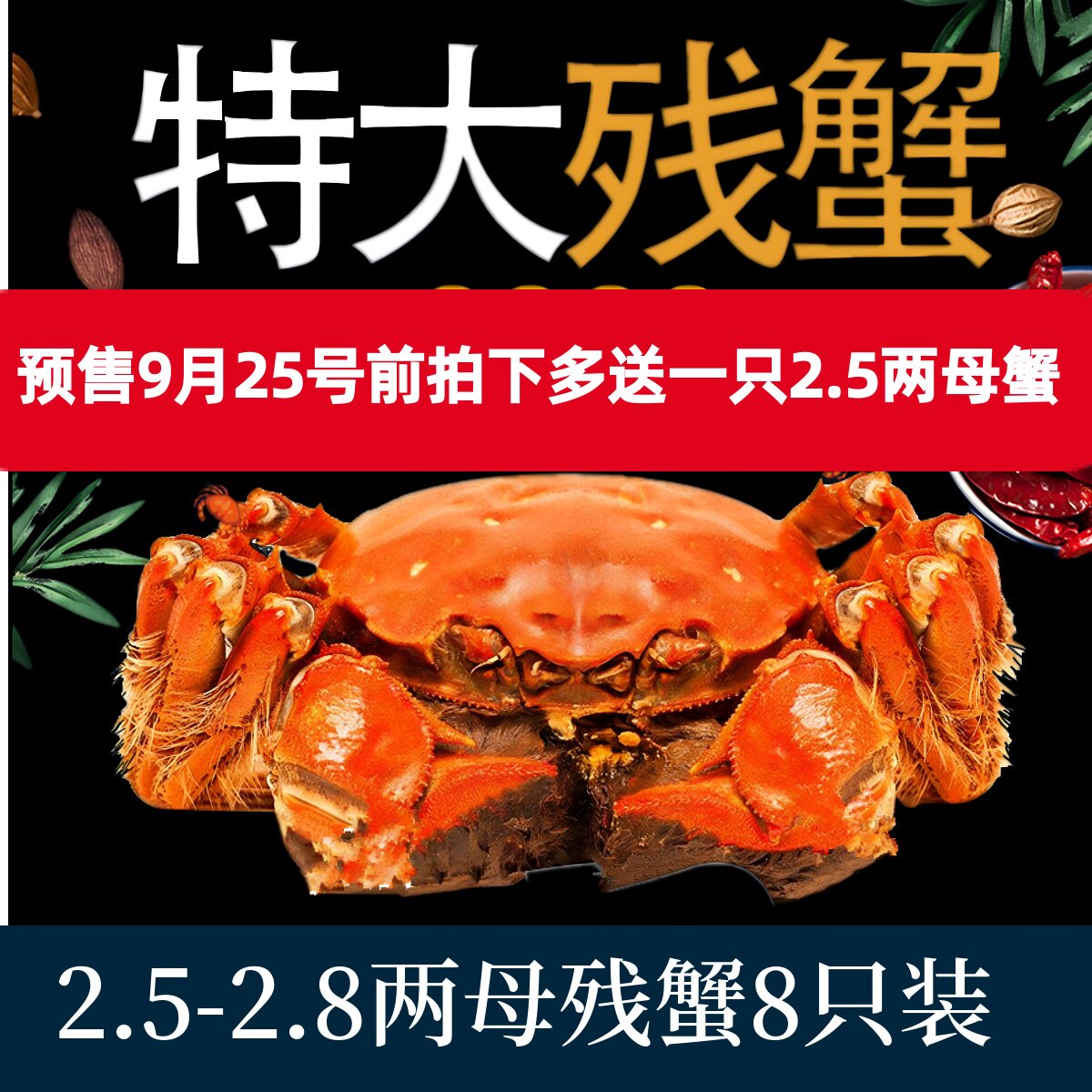 【特大母蟹8只】鲜活断脚残次蟹