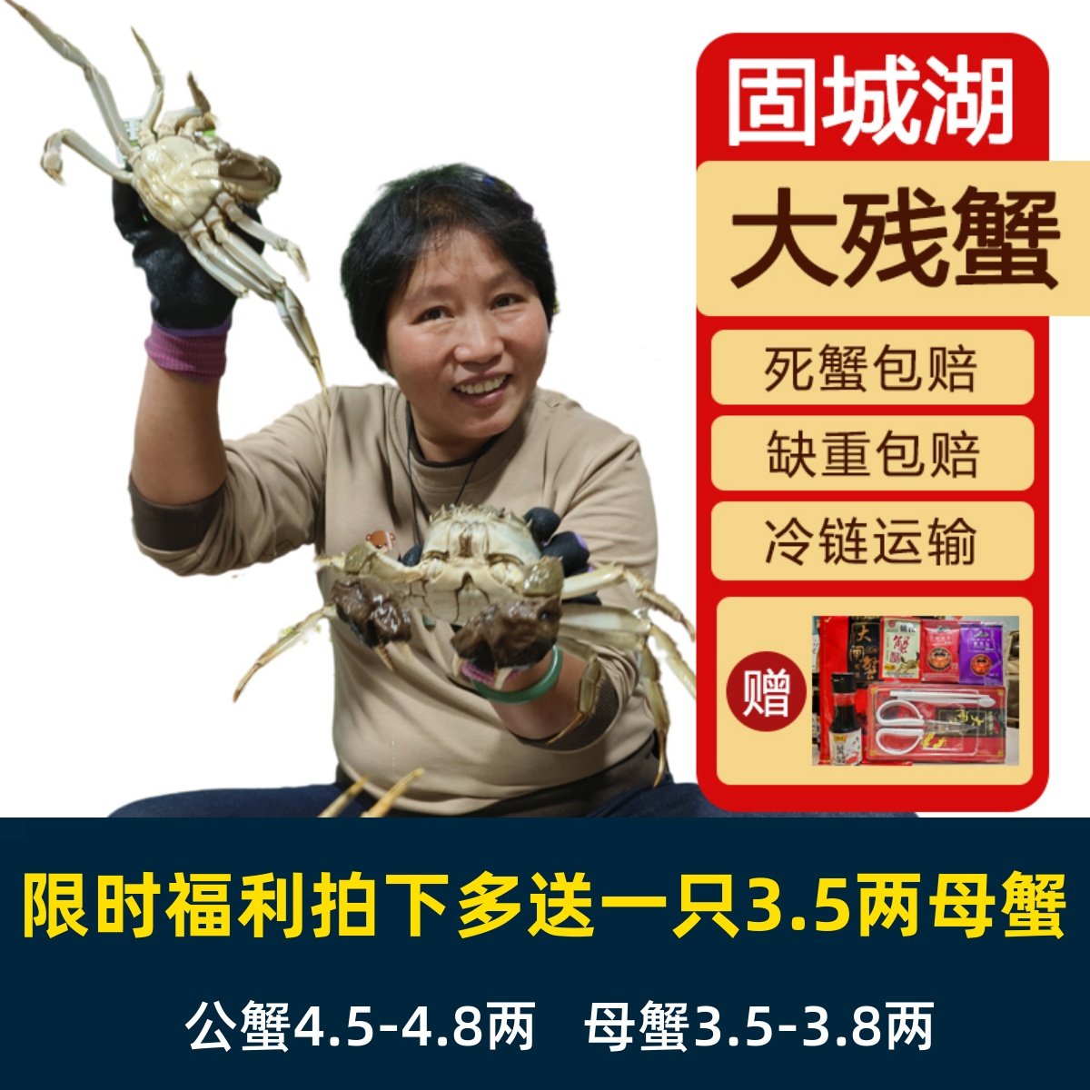 活蟹残蟹8只母蟹3.5-3.8两公蟹4.5-4.8两断脚断腿蟹固城湖大闸蟹,水产肉类/新鲜蔬果/熟食,大闸蟹,淘宝优惠券,粉丝福利购,淘宝优惠卷