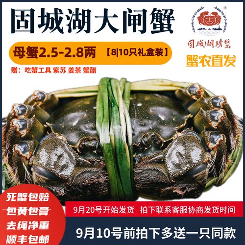 10只固城湖大闸蟹鲜活螃蟹