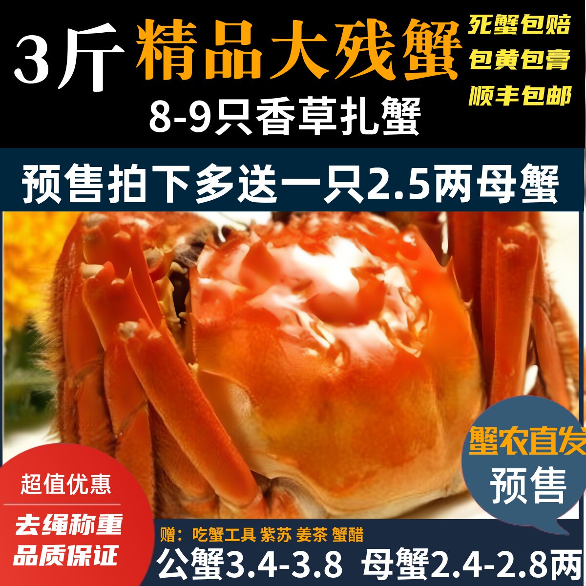 残蟹大自家养殖固城湖大闸蟹鲜活