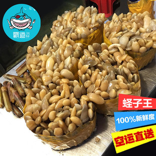 鲜活圣子竹蛏王 生猛海鲜双头蛏子 500g 成都霸道