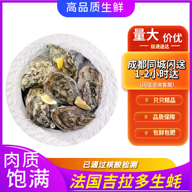 进口法国吉拉多生蚝n0grandeur当日空运鲜活即食生蚝12只刺身牡蛎