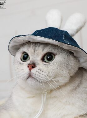 猫狗复活节兔子万圣节领结