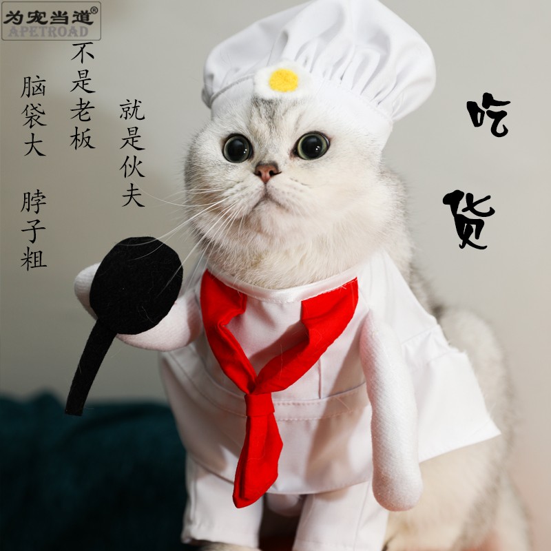 为宠当道宠物服饰猫咪变装服帽子厨师服cosplay聚会拍照道具