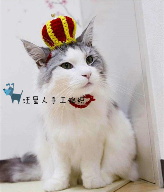 宠物头饰 手工发箍头箍 立体王冠 猫咪变装珍珠宝石皇冠 比熊俊介