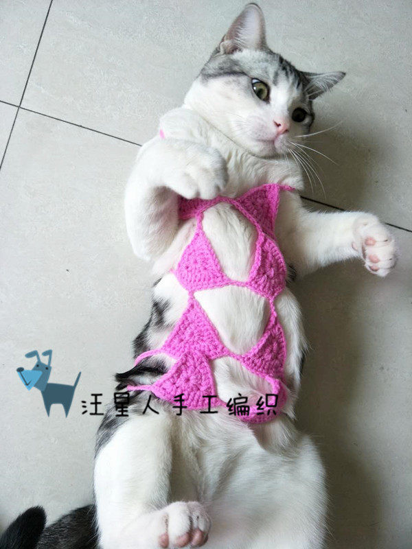 网红抖音手工毛线猫咪比基尼宠物搞笑内衣猫猫胸罩拍照摄影道具