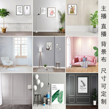 主播背景布抖音背景布直播背景布摄影背景布网红背景布拍照背景