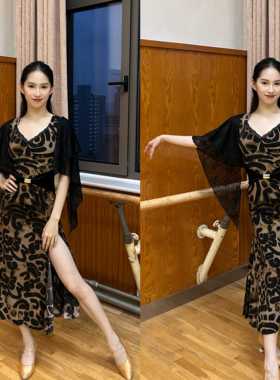 LOYAL拉丁舞服【雅】成人练功服豹纹印花性感连衣裙国标专业表演