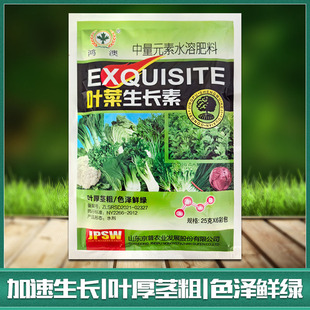 叶菜速长灵 促长灵快长素小叶黄叶芹菜青菜生菜菠菜专用叶面肥