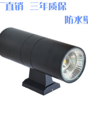 工程LED户外防水单头双头壁灯外围墙上下射灯庭院柱子3W6W9W12W包
