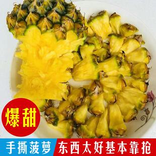 树上熟金钻凤梨 海南三亚新鲜水果台湾牛奶菠萝手撕纯甜当季5斤