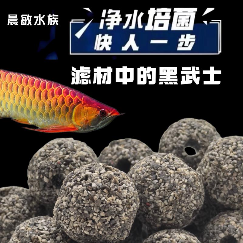 5斤黑武士原矿鱼缸过滤培菌净水