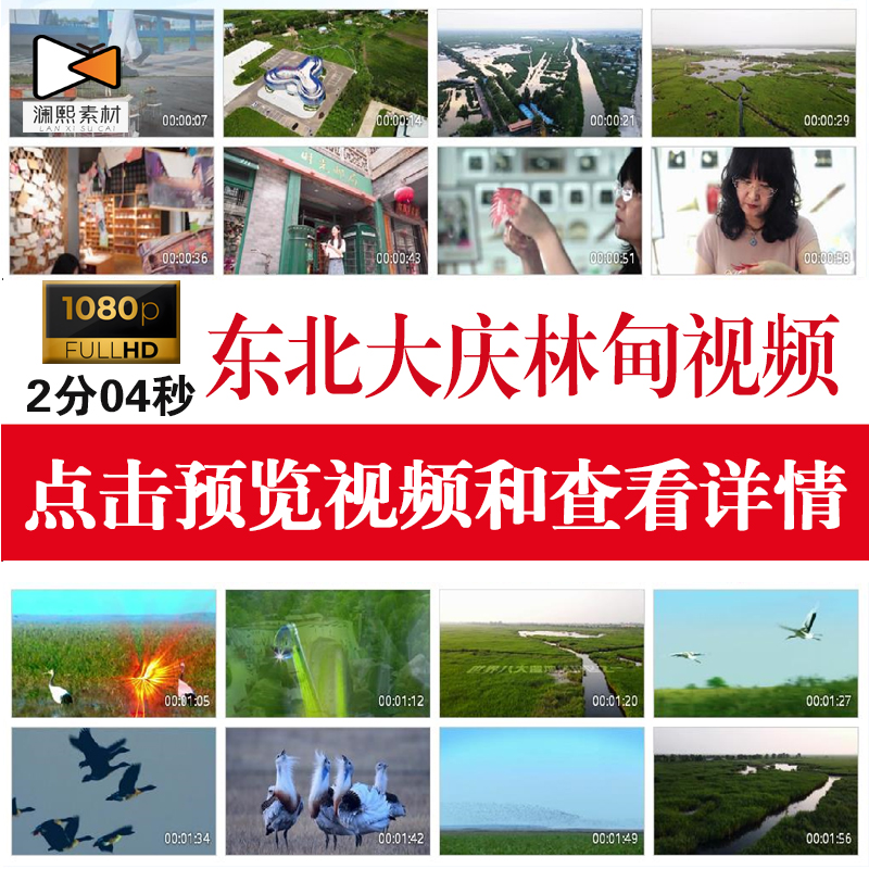 东北大庆林甸平原湖泊温泉剪纸林地风景航拍实拍宣传高清视频素材