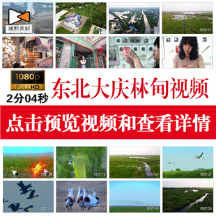 东北大庆林甸平原湖泊温泉剪纸林地风景航拍实拍宣传高清视频素材