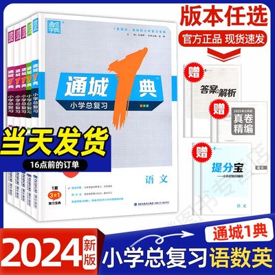 2024版通城1典小学总复习语数英