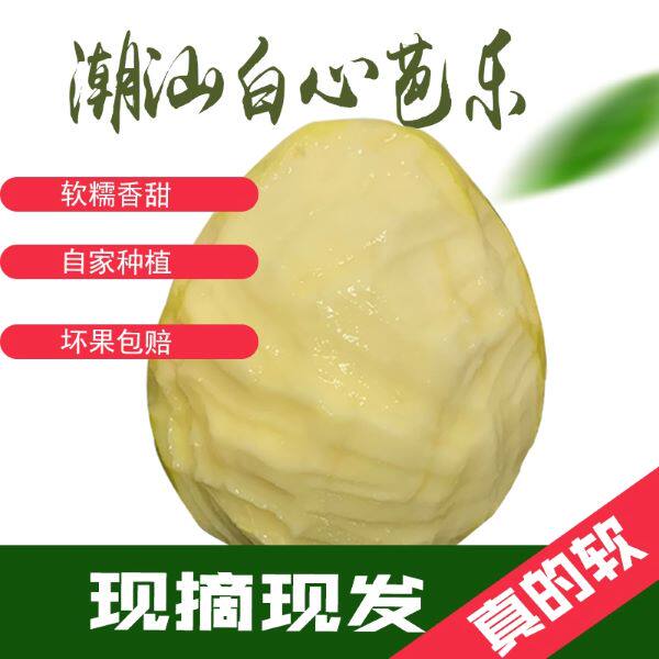 广东潮汕白心软芭乐软糯奶油番石榴自家果园种植新鲜采摘当季水果