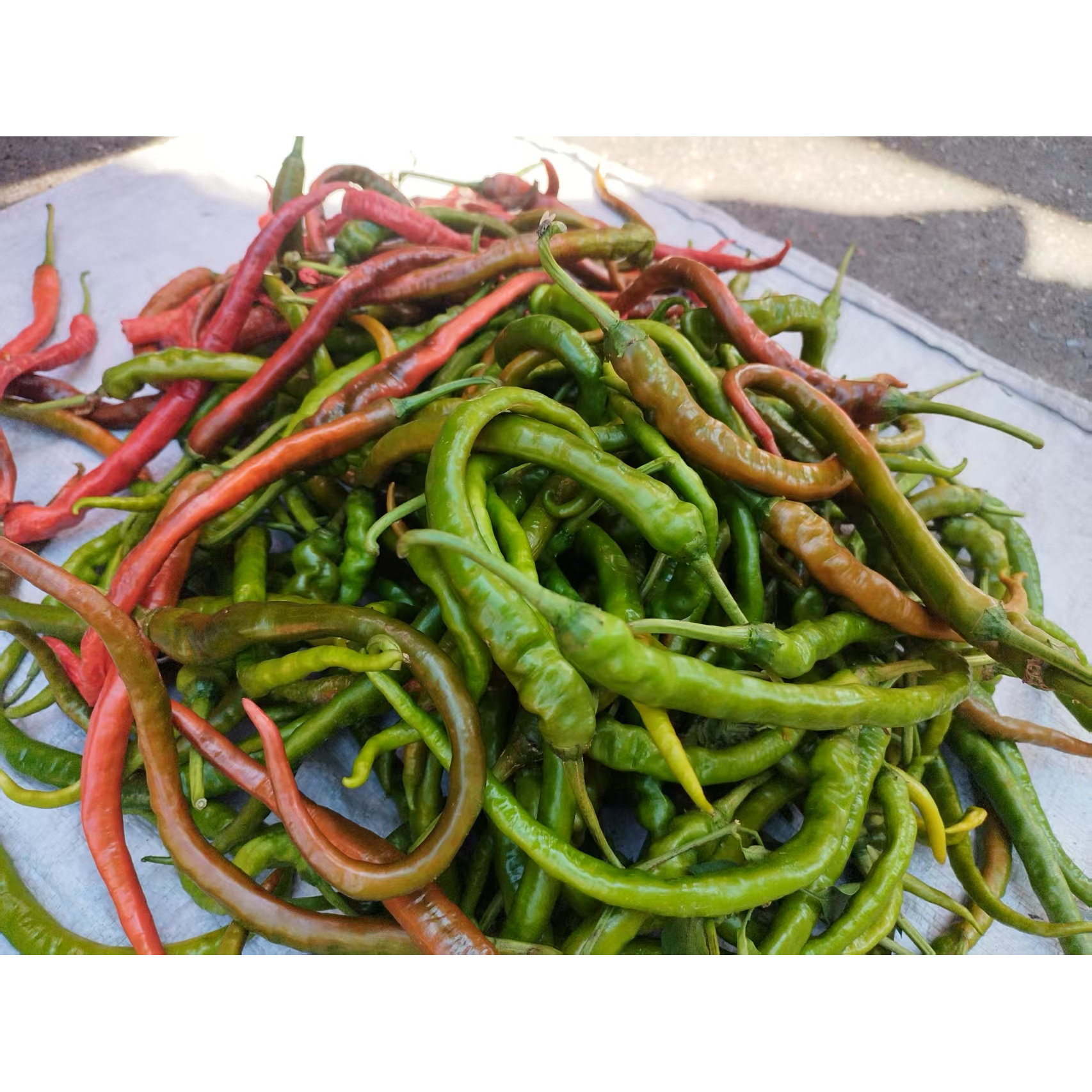 新鲜蔬菜 农家自种