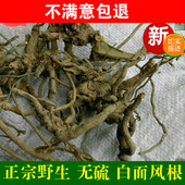 白面风根 乌根 山白芷 寻骨风根头 羊耳菊白牛胆根 乌脚鸡 野生