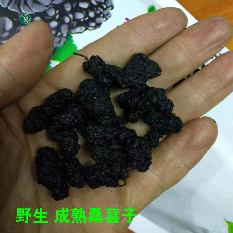 野生桑葚子 黑桑椹干 黑桑椹子成熟真货无沙500克包邮