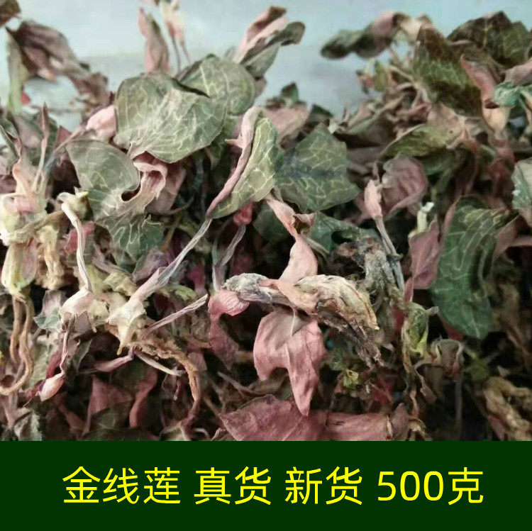 真货 新货 金线莲 干品金线莲茶 金线连 500克整株 养生养肝花茶