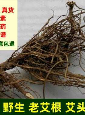 端午艾根野生五月老艾根坐月子煲汤艾叶根小叶艾根大叶艾草根艾头